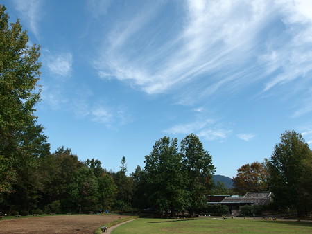 PA160017