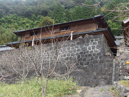 PA260436