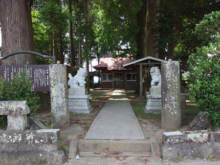 P5223768
