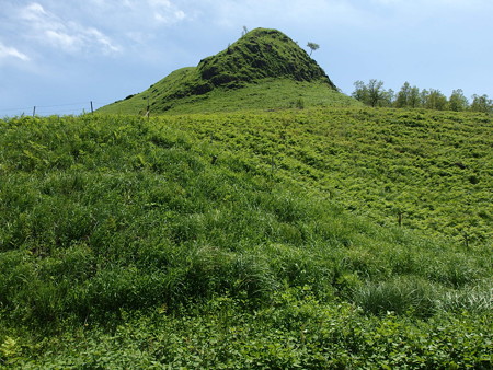 P5223780