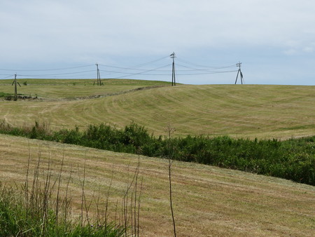 P5223804