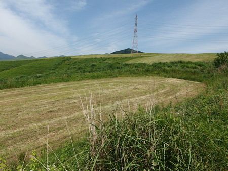 P5223810