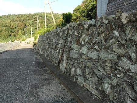 P7034127