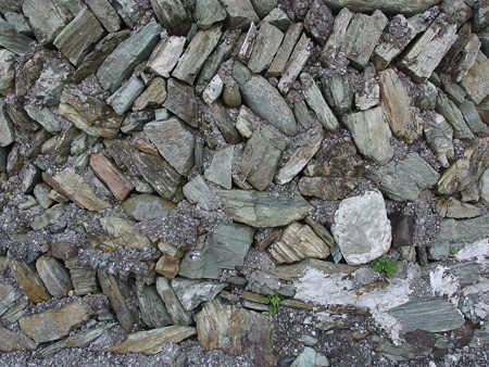 P7034129