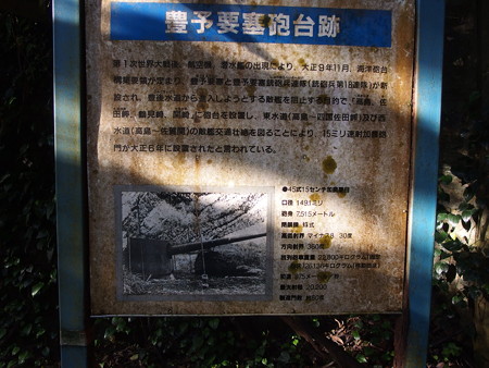 P7034136