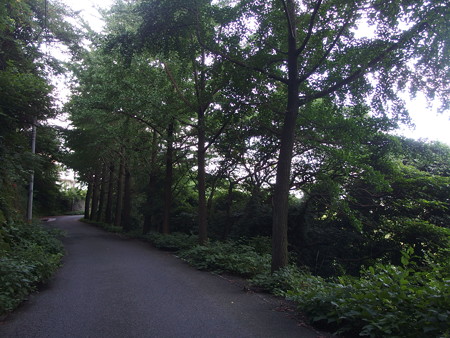 P7034143