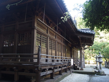 P7034158