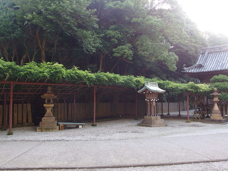 P7034161