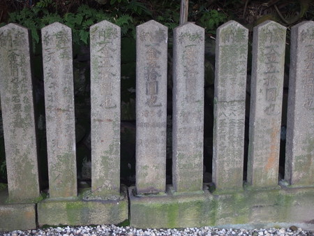 P7034165