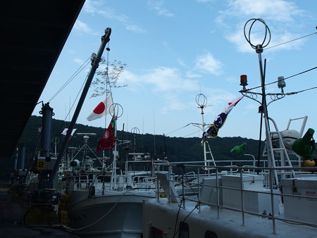 P7174261