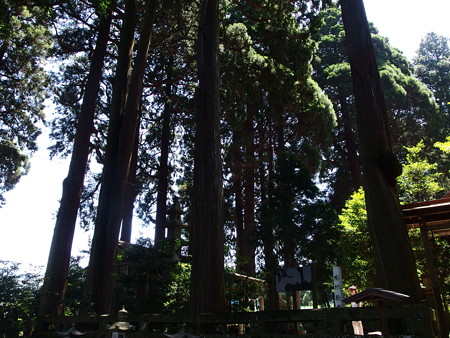 P7184292