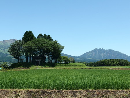 P7184302