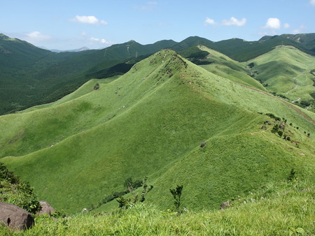 P7184351