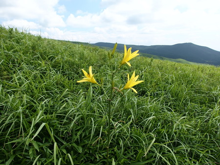 P7184385