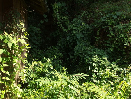 P8104900