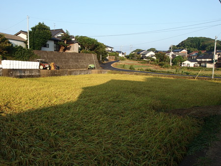 P8145086