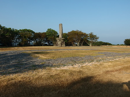 P8145116