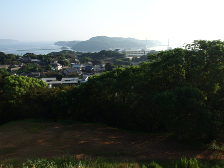 P8145126