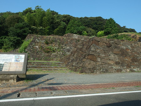 P8145176