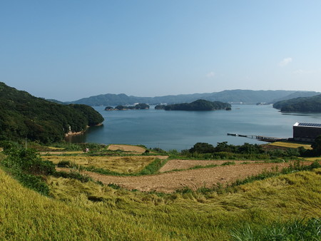 P8145224