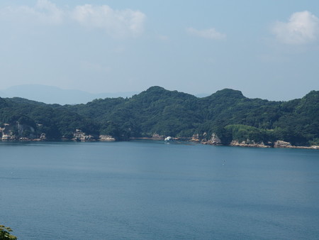 P8145232