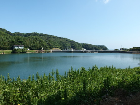 P8145234