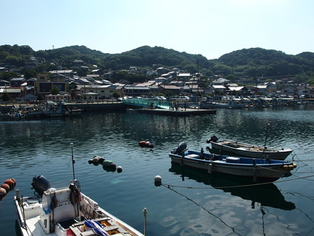 P8145240