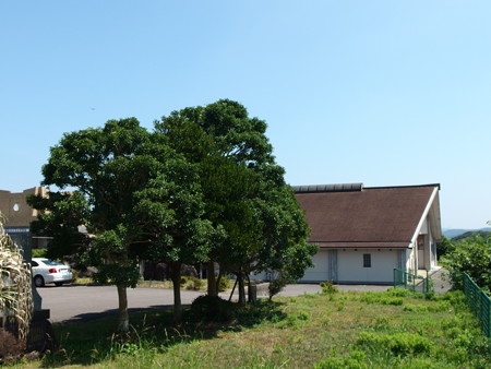 P8145288