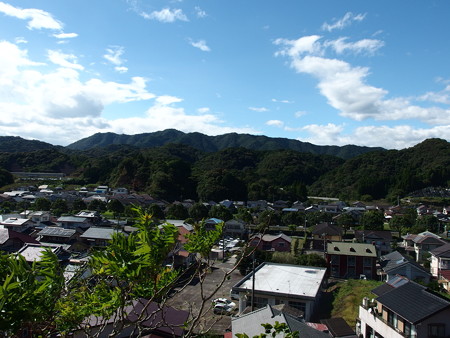 P8295440
