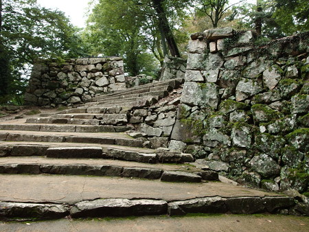 P9235773