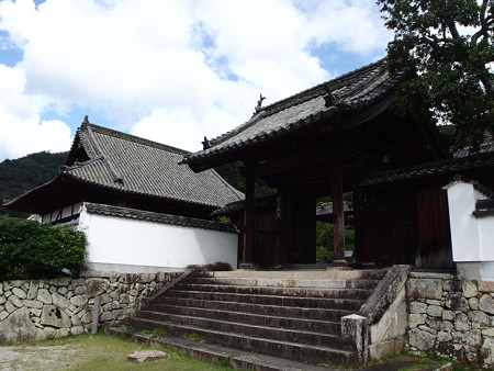 P9235831