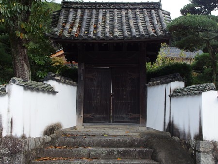 P9235854