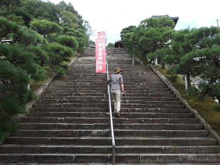P9235889
