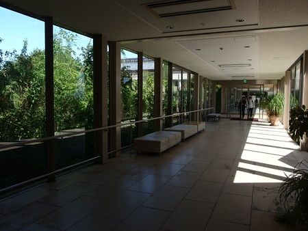 P9246048