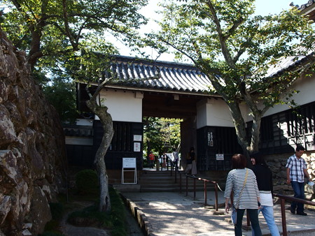 P9246075