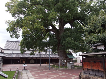 PA236275
