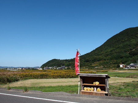 PA246491