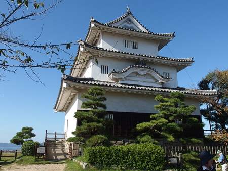PA246511