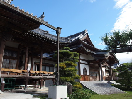 PA256629