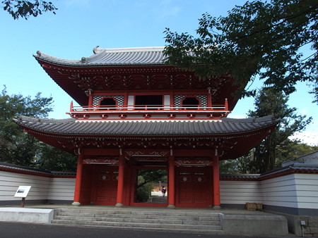 PA256648