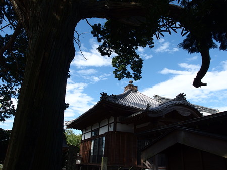 PA256664