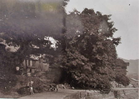 PA266789