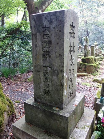 PB067466