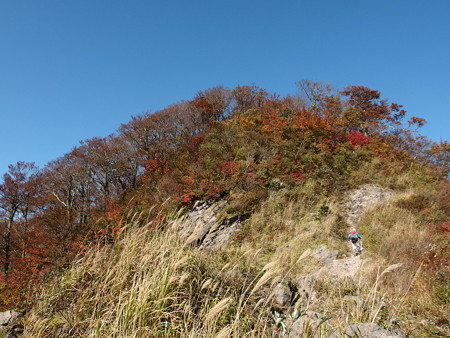 PB057137