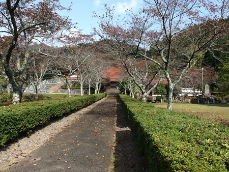 PB067628