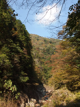 PB047005