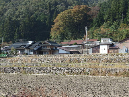 PB047041