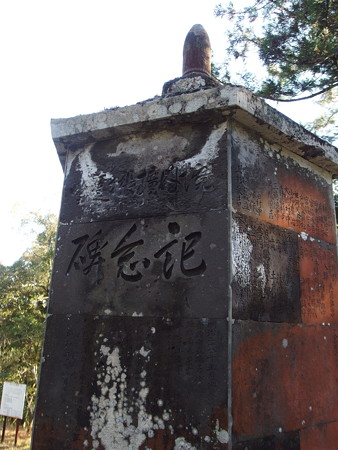 PC118033