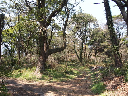 P3231490
