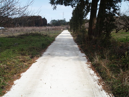 P2240389